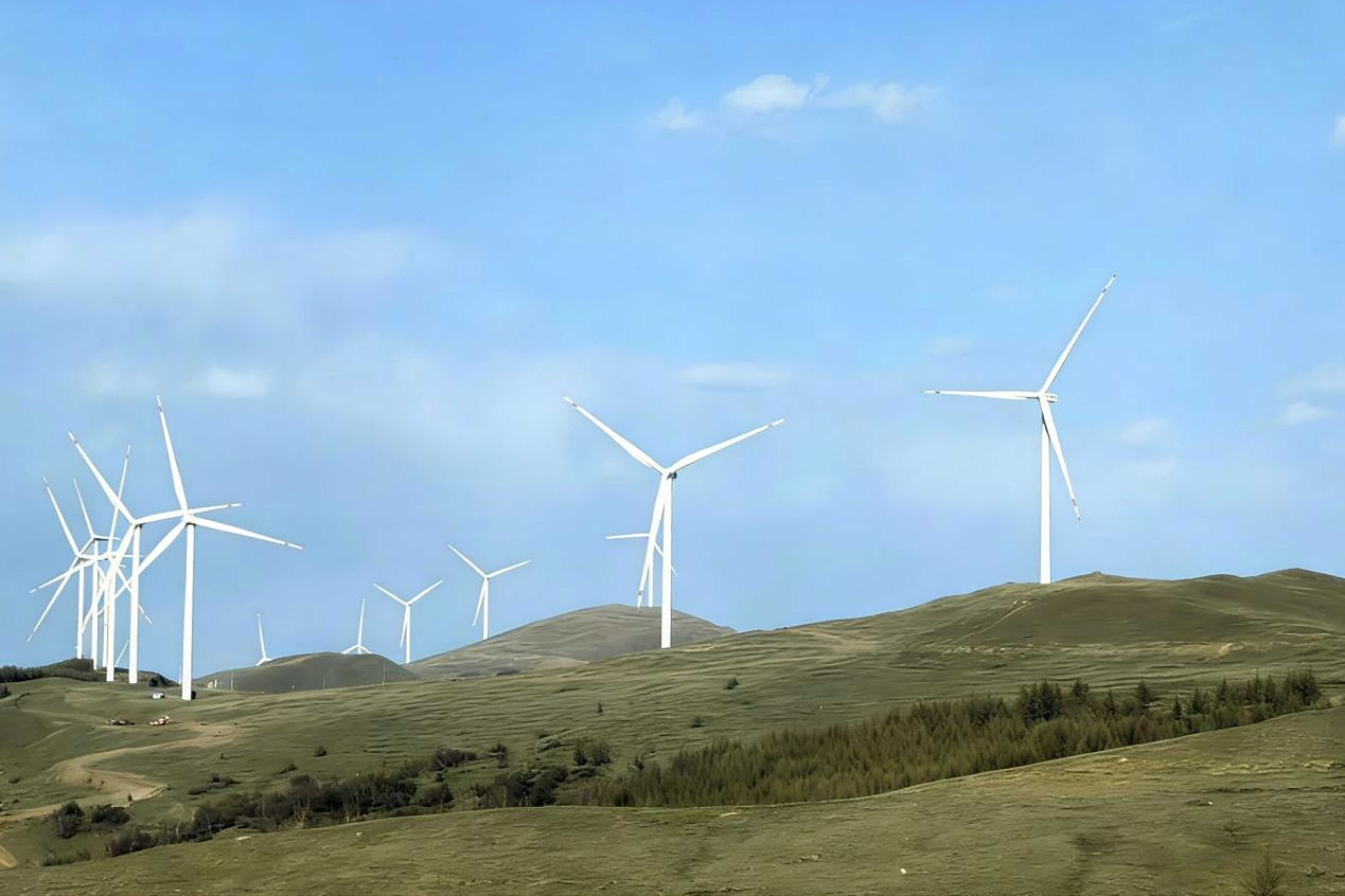 image005.jpg image005.jpg